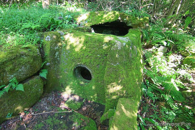 Дольмен Бжеф.