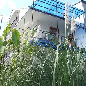 Частное домовладение